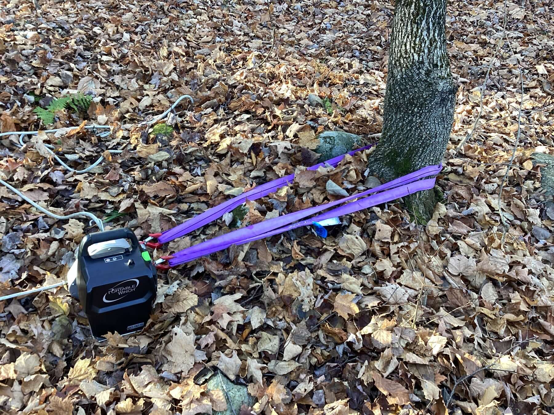 Portable winch with purple endless round slings anchored to a tree, surrounded by autumn leaves.
