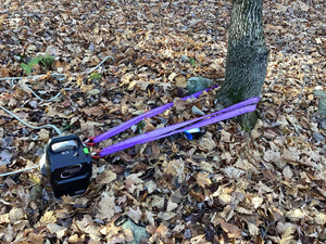 Portable winch with purple endless round slings anchored to a tree, surrounded by autumn leaves.