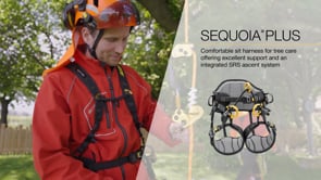 Sequoia Plus Tree Climbing Harness worn by a tree surgeon demonstrating its support and integrated SRS ascent system.