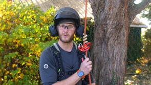 Arborist using REFLEX Mechanical Hitch for rope access work in a tree with safety helmet and gear.