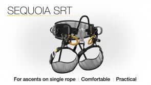Petzl Sequoia SRT climbing harness for tree surgeons, designed for comfort and single rope ascent techniques.