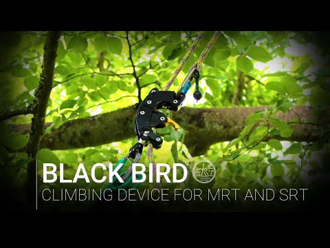 BlackBird climbing device for MRT and SRT, ideal for professional tree surgeons and arborists.