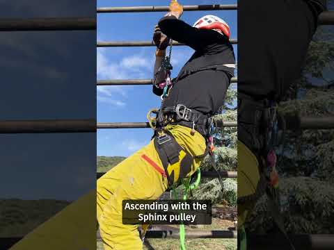 FreeXion SRT Device + Tether in action, demonstrating efficient ascent with the Sphinx pulley.