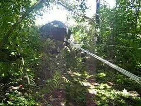 Tree surgeon using a double swing pulley on a rope in a wooded area, demonstrating efficient lifting techniques.