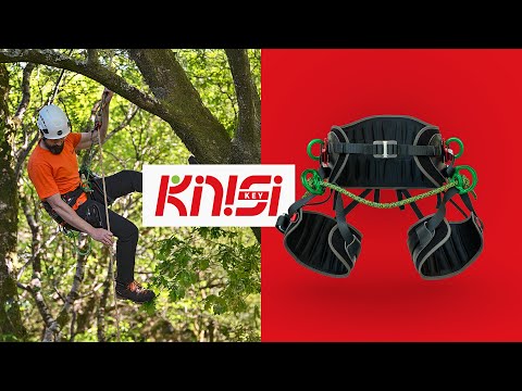 Kinisi Key Harness used by a tree surgeon for climbing and work positioning in trees.