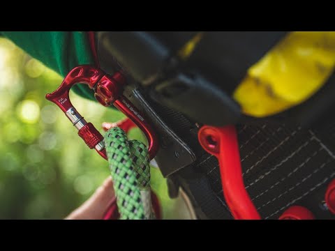 Close-up of a red carabiner attached to a harness, showcasing the DMM Micro Vault Tool Holder for tree surgeons.