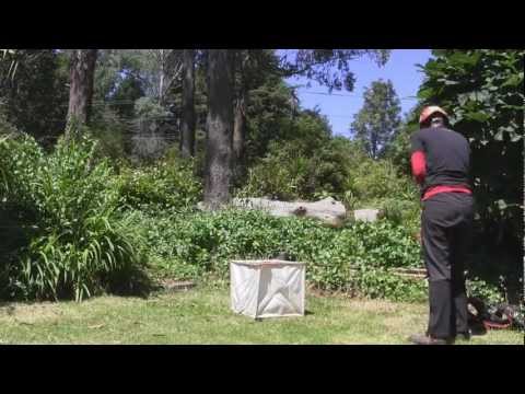 Tree surgeon using RopeGuide 2010 with Link Pulley in a green garden setting with fallen logs.
