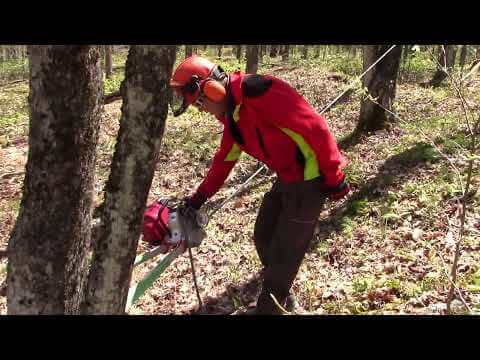 Tree surgeon operating a Portable Winch PCW4000 in a forest for pulling timber.