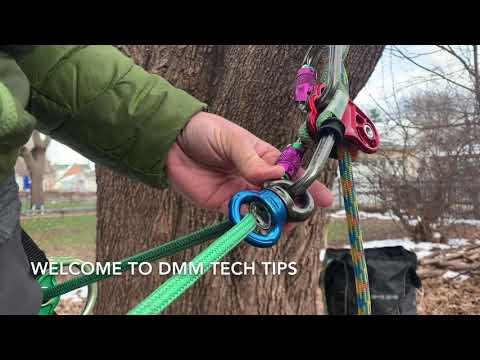 A tree surgeon demonstrating DMM rigging techniques with a blue swivel and rope on a tree.