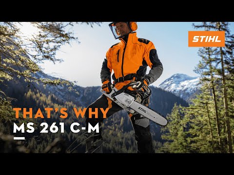 STIHL MS 261 C-M Petrol Chainsaw in use by a tree surgeon in a mountain landscape.