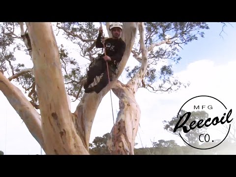 Tree surgeon using REECOIL Full Reach chainsaw lanyard for safe climbing and cutting in a tree.