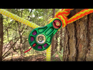DMM Impact Pulley Blocks attached to a tree, showcasing robust design for tree surgeons and climbing.
