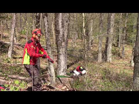 Tree surgeon operating the PCW4000 petrol winch in a forest clearing.