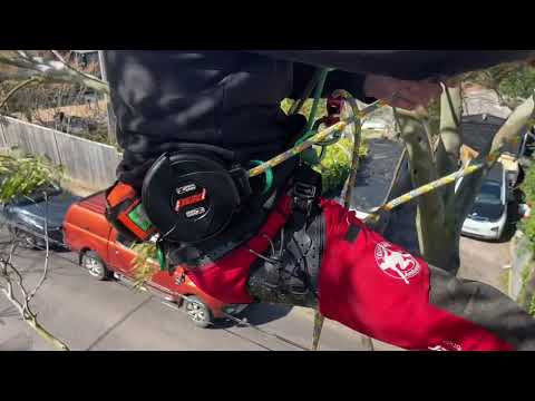 RopePod-Retractable-Lanyard-System-Video