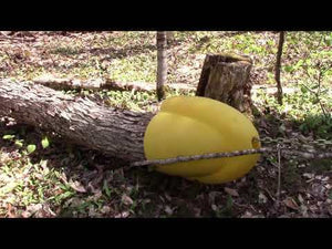 Yellow buoy positioned on a fallen tree in a forest, demonstrating tree surgery equipment usage.