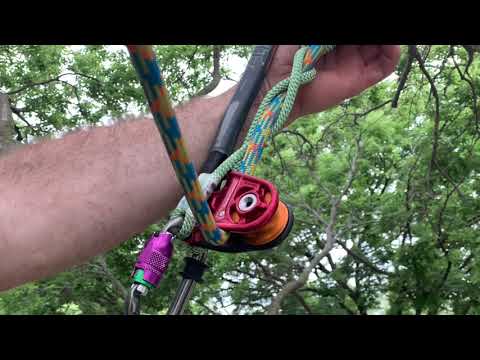 Hitch Climber Eccentric Pulley in action, showcasing its design for improving climbing efficiency for tree surgeons.