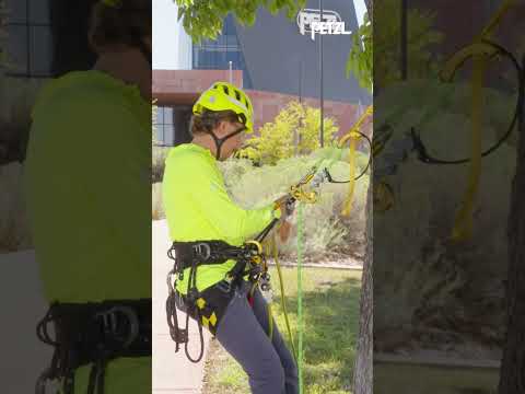 Tree surgeon using PETZL NAJA Friction Saver for tree care, showcasing adjustable strap and efficient pulley system.