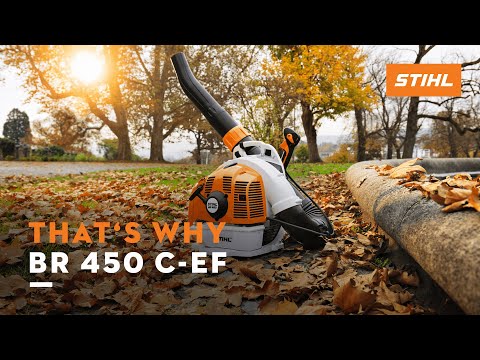 STIHL BR 450 C-EF petrol backpack leaf blower in autumn leaves, ideal for tree surgeons and heavy-duty clearing tasks.