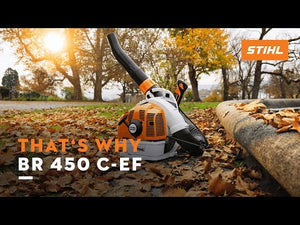 STIHL BR 450 C-EF petrol backpack leaf blower in autumn leaves, ideal for tree surgeons and heavy-duty clearing tasks.