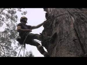 Tree surgeon using ART Positioner to ascend a tree, demonstrating climbing techniques and safety gear.
