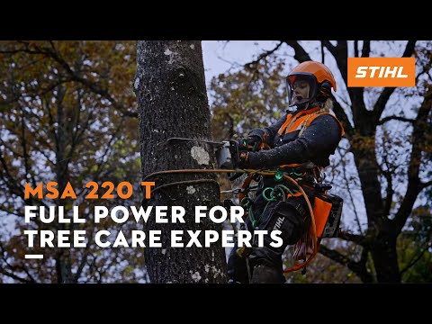 Tree surgeon using STIHL MSA 220 T cordless chainsaw for tree care in a professional setting.