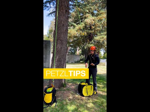 Tree surgeon demonstrating PETZL tips for using mechanical Prusik near a tree, showcasing tree care equipment.