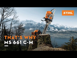 STIHL MS 661 C-M chainsaw on a mountain top, ideal for professional tree surgeons in forestry.
