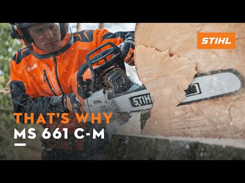 Tree surgeon using the STIHL MS 661 C-M chainsaw for high-performance timber cutting.