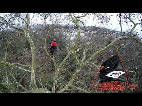 Tree surgeon climbing high in trees with Cousin Tresttec climbing rope for arboriculture.
