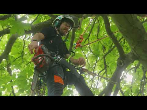 Arborist using the Catalyst Tree Climbing Harness while working in the canopy of a tree.