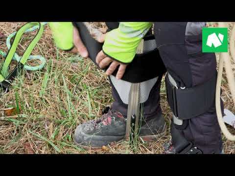 Tree surgeon adjusting Gecko Aluminium Tree Climbing Spikes for optimal comfort and safety in the field.