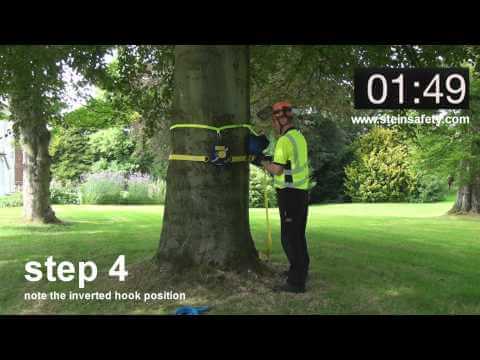 Tree surgeon demonstrating step 4 for using the Stein RC2001 lowering device on a tree.
