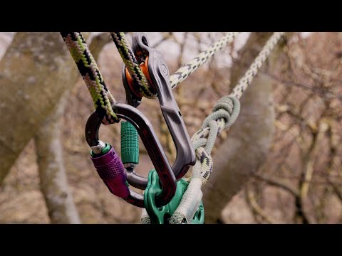DMM Revolver Rig Twin Locksafe Pulley showcasing gear setup in a tree for tree surgeons.