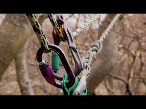 DMM Revolver Rig Twin Locksafe Pulley showcasing gear setup in a tree for tree surgeons.