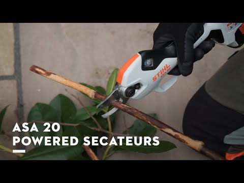 User using ASA 20 Cordless Secateurs to cut a branch with precision during a gardening task.