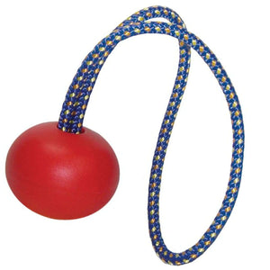 Ropeguide 2010 replacement part with red ball and blue-yellow rope, ideal for Tree Surgeons.