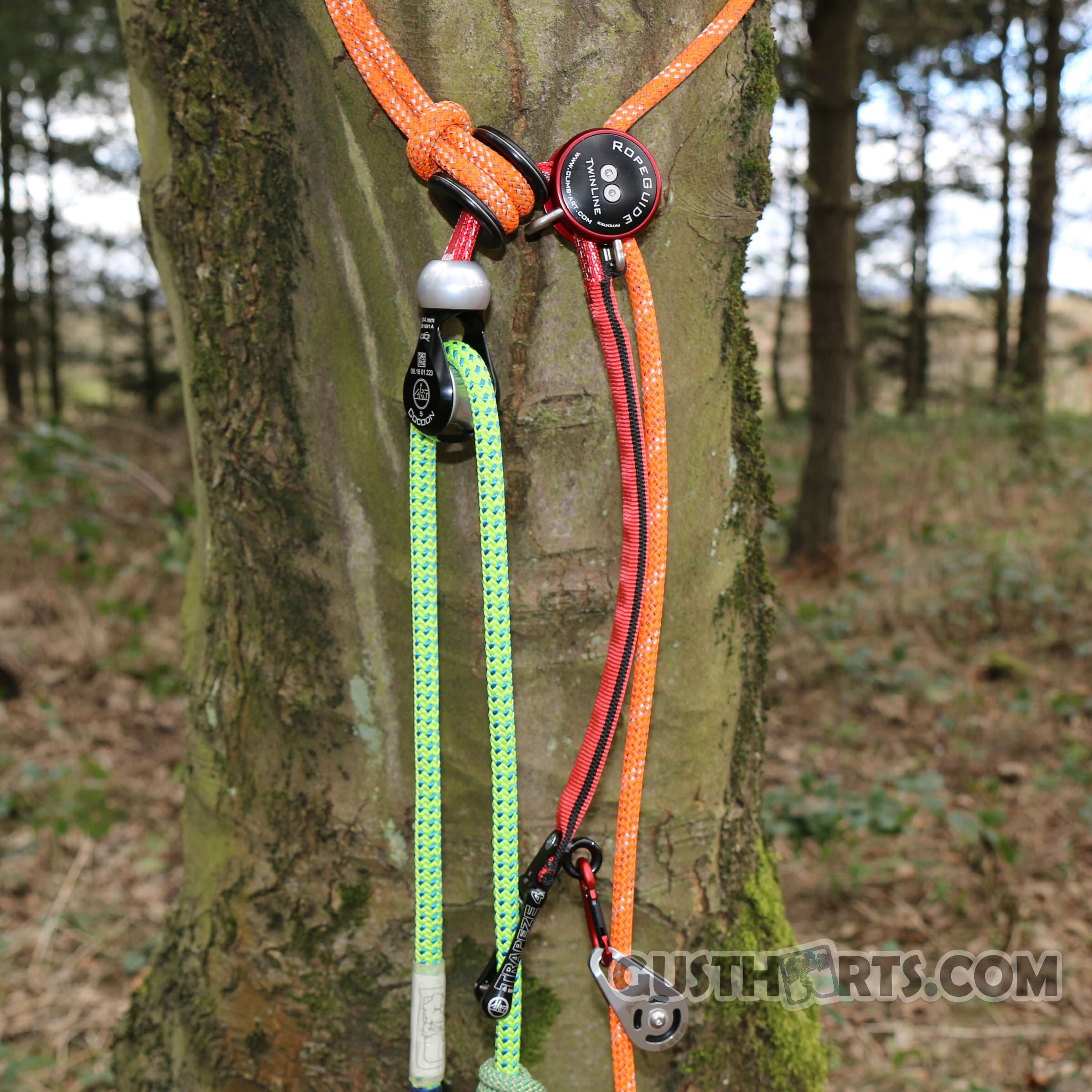 RopeGuide TwinLine Cambium Saver on a tree, featuring vibrant ropes for tree surgeons and arborists.