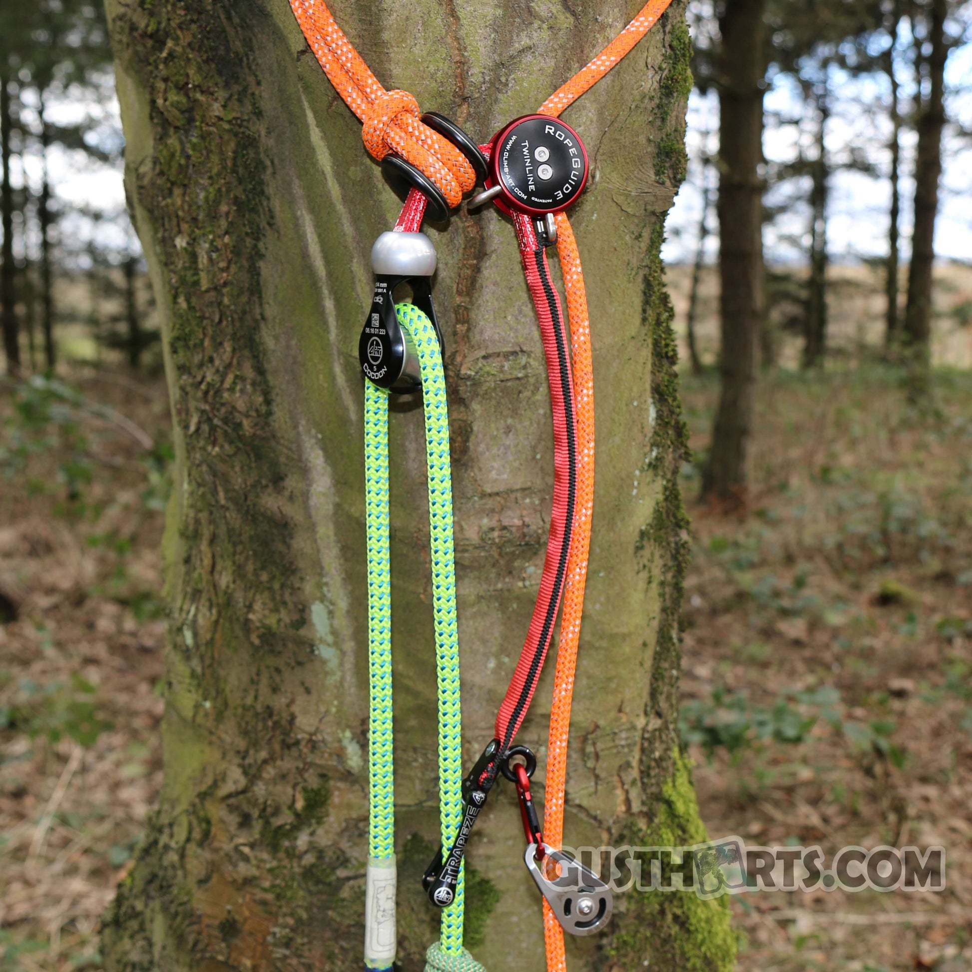 RopeGuide TwinLine Cambium Saver on a tree, featuring vibrant ropes for tree surgeons and arborists.