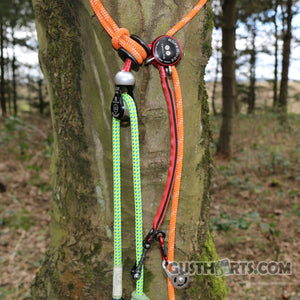 RopeGuide TwinLine Cambium Saver on a tree, featuring vibrant ropes for tree surgeons and arborists.