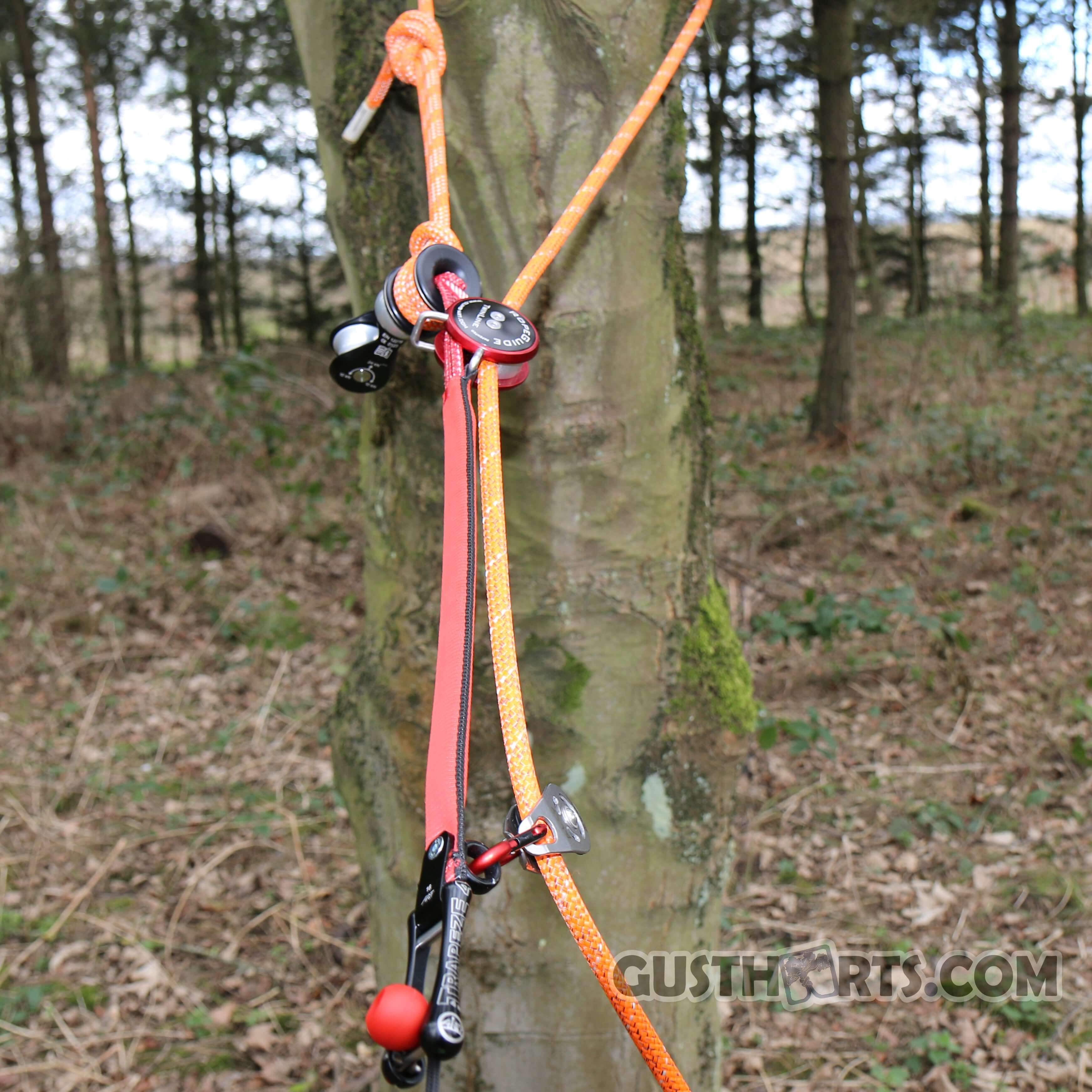 Close-up of Ropeguide Twinline Cambium Saver attached to a tree, showcasing its dual-line system for tree surgeons.