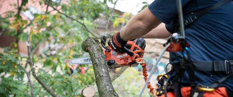 Tree surgeon using a chainsaw to cut a tree branch in a garden setting.