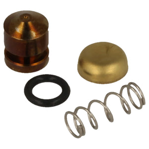 Pump Piston Kit for Stihl FS91, FS100